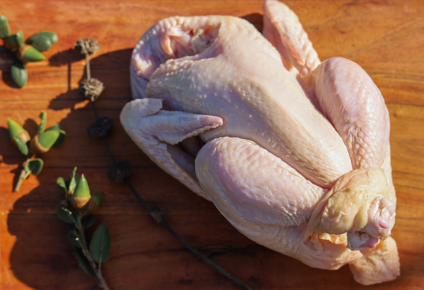 PASTURE RAISED WHOLE CHICKEN (PRESALE, Ships 1st Week January 2025)